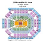 MGM Grand Garden Arena