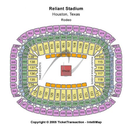Reliant Stadium
