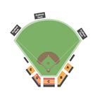 Bear Stadium