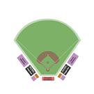 Lloyd Hopkins Field