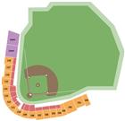 Perfect Game Fields