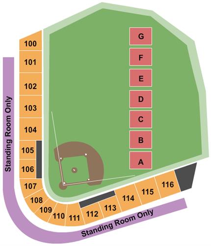 Delta Dental Stadium