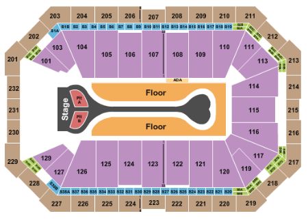 Dickies Arena