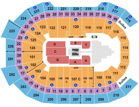 Giant Center