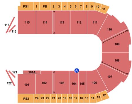 Grossinger Motors Arena