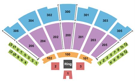 Infosys Theater at Madison Square Garden