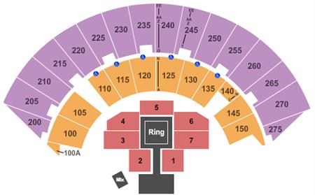 Mayo Civic Center Arena