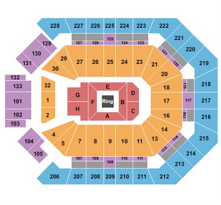 MGM Grand Garden Arena