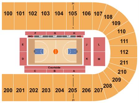 Reliant Arena