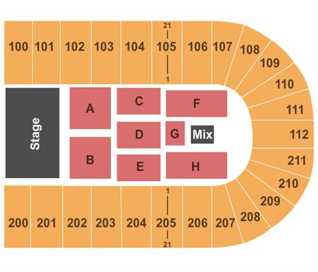 Reliant Arena