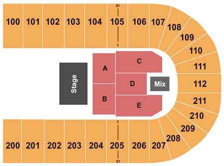 Reliant Arena
