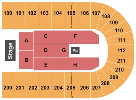 Reliant Arena