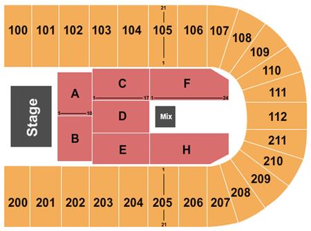 Reliant Arena