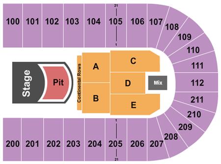 Reliant Arena