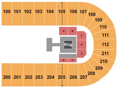 Reliant Arena