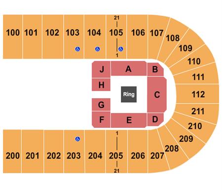Reliant Arena