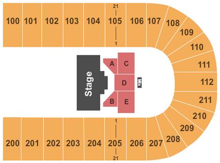 Reliant Arena
