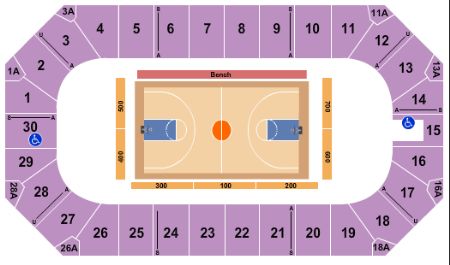 Wings Stadium Tickets and Wings Stadium Seating Chart - Buy Wings